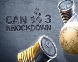 Can Knockdown 3 Mod Apk 1.31